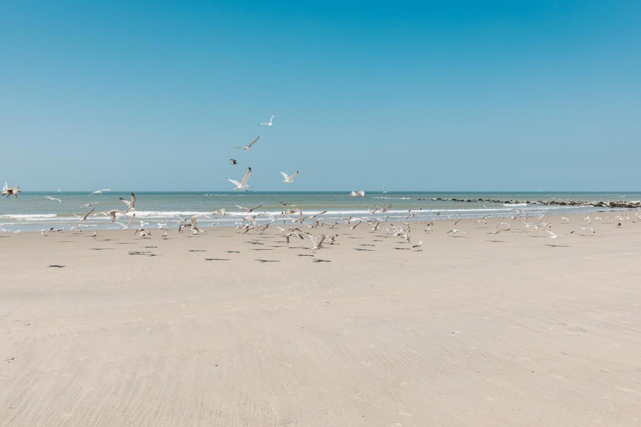 Molo Roof - Stylish Penthouse With Marina View Blankenberge Within Walking Distance From The Sea - 15 Km From Bruges Apartman Kültér fotó